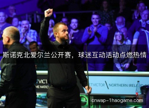 斯诺克北爱尔兰公开赛，球迷互动活动点燃热情